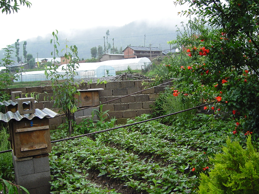 Garden KIF_0689