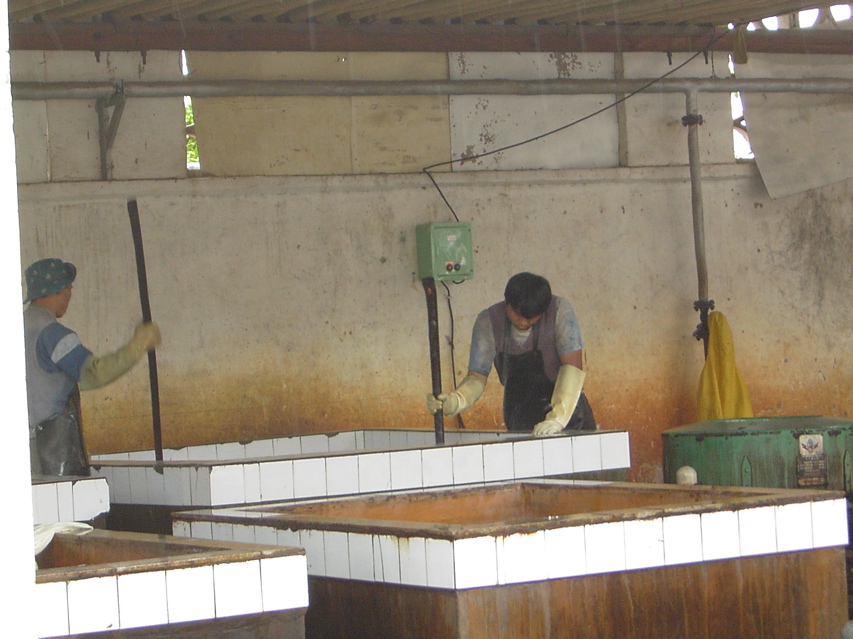 Tie Dye factory, Weishan KIF_0767