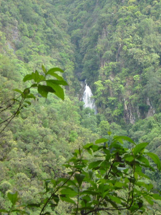 Gaoligongshan waterfall KIF_0345