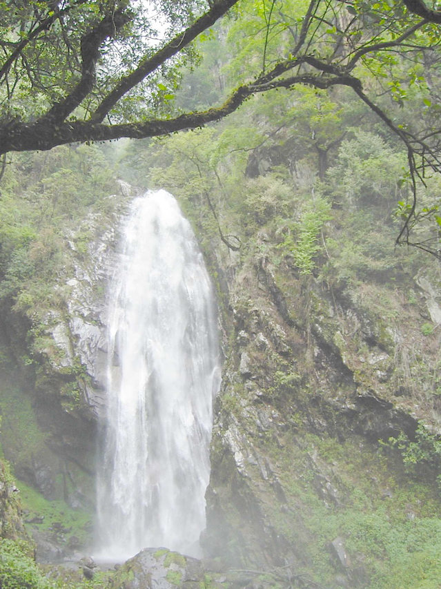 Gaoligongshan waterfall KIF_0349