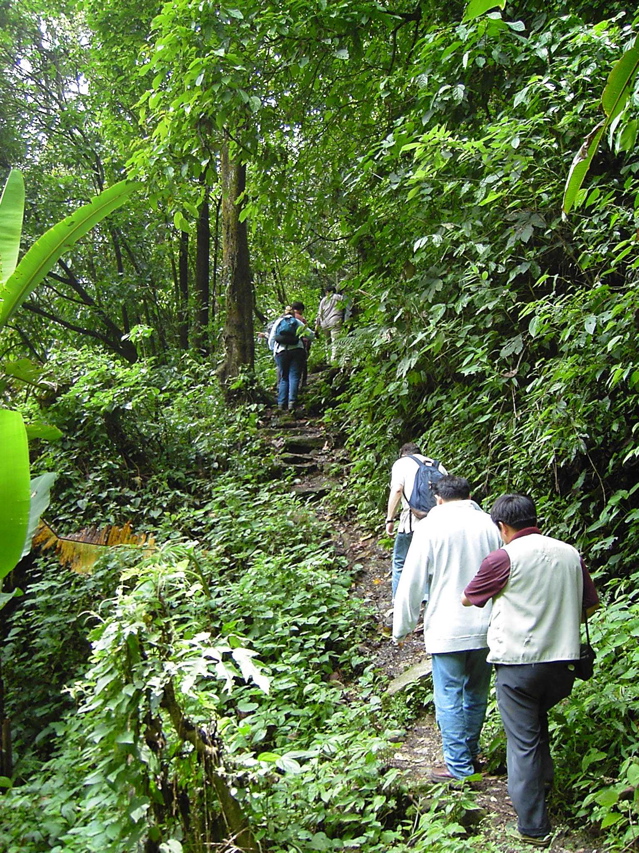 Gaolligongshan trial KIF_0378