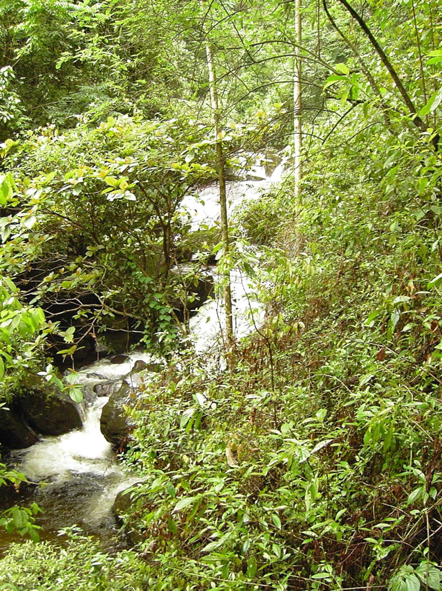 Hotspirngs water fall KIF_0356
