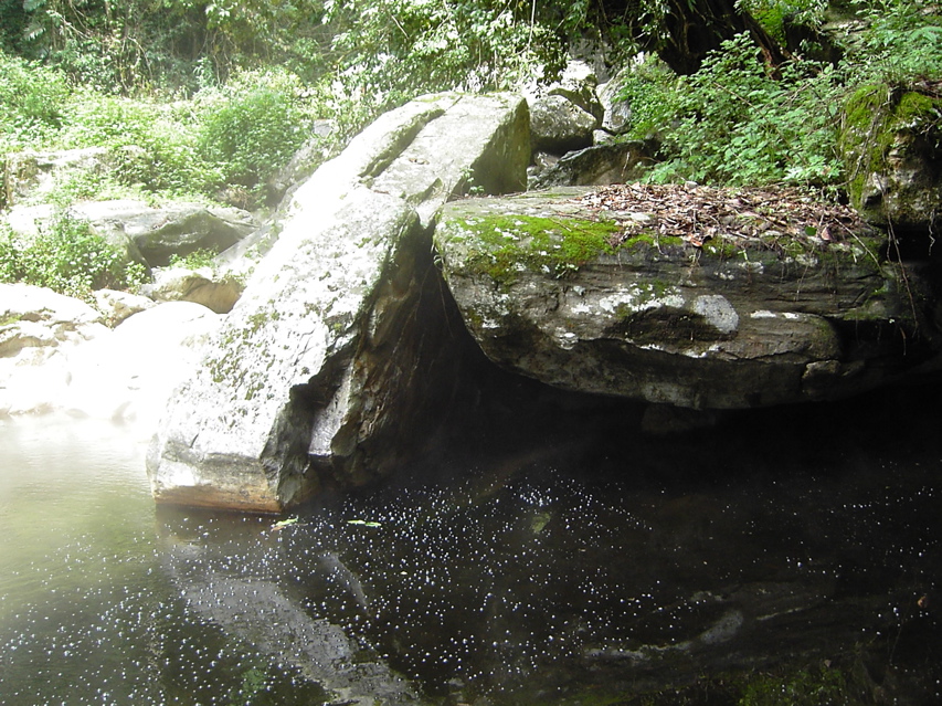 HotspringsKIF_0360