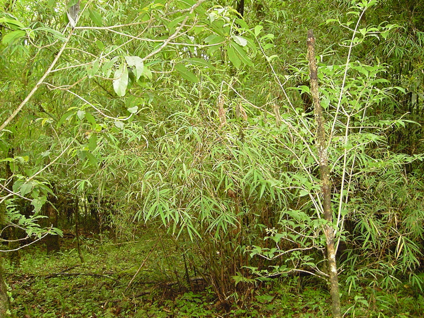 KIF_0393
