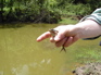 Frog, Nankang KIF_0488