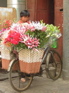 Kunming market flowers KIF_0303