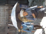 Street scene, Jiang Zuo KIF_0564