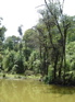 Pond, Nankang KIF_0490