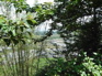 Agriculture view outside Jiang ZuoKIF_0598