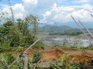 Agriculture view outside Jiang ZuoKIF_0600