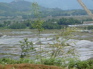 Agriculture view outside Jiang ZuoKIF_0602