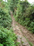 Silk Road near Hanlong KIF_0331