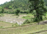 Terraces close up KIF_0642