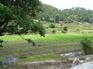 Terraces from path to poison pit KIF_0644