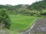 Terraces from path to poison pit KIF_0647