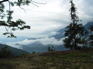 Gaoligongshan KIF_0337