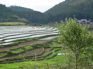 Agricultural view KIF_0687