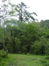 Gaoligongshan trail KIF_0390
