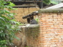 Hanlong hamlet KIF_0335