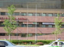 Schlotsky's Beijing KIF_0781