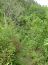 Gaoligongshan Silk Road KIF_0401