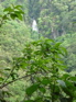 Gaoligongshan waterfall KIF_0346