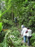Gaolligongshan trial KIF_0378