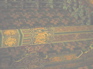 Forbidden City CeilingKIF_0279_edited