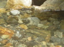 HotspringsKIF_0365