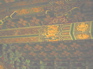Forbidden City CeilingKIF_0279_edited_edited