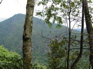 Gaoligongshan KIF_0379