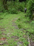 Gaoligongshan Silk Road KIF_0397
