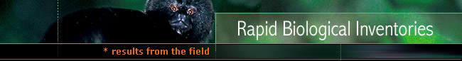 Rapid Biological Inventories : Results from the field