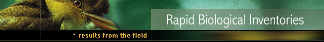 Rapid Biological Inventories : Results from the field