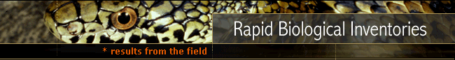 Rapid Biological Inventories : Results from the field