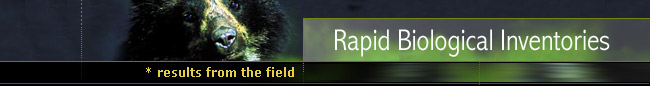 Rapid Biological Inventories: Results from the Field : Ecuador 03
