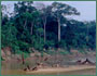 R&iacute;o Tahuamanu