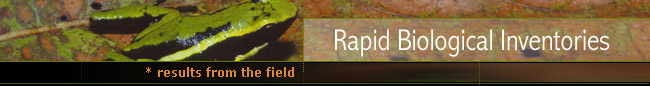 Rapid Biological Inventories : Results from the field