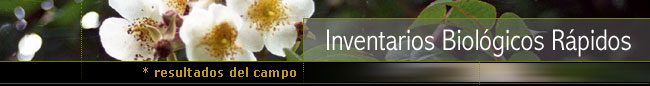 Inventarios Biol&oacute;gicos R&aacute;pidos: resultados del campo
