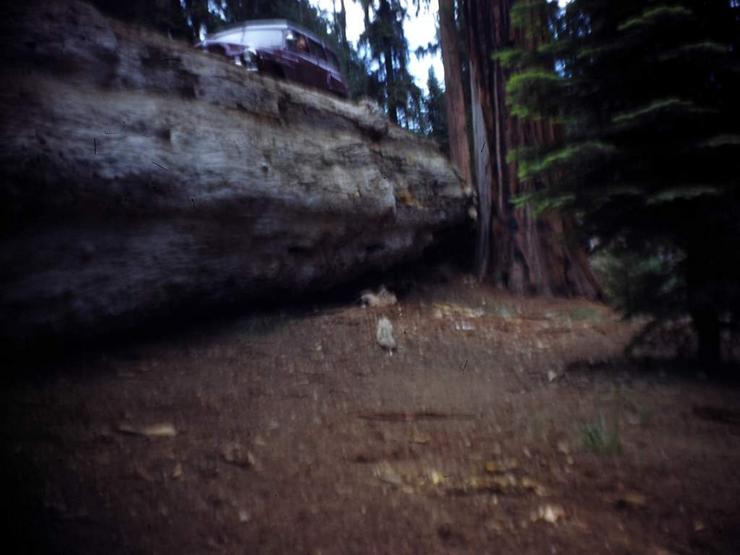 09 Sequoia, Tioga Pass and Yosemite Photo #2