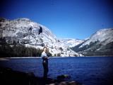 09 Sequoia, Tioga Pass and Yosemite Photo #5