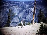 09 Sequoia, Tioga Pass and Yosemite Photo #7