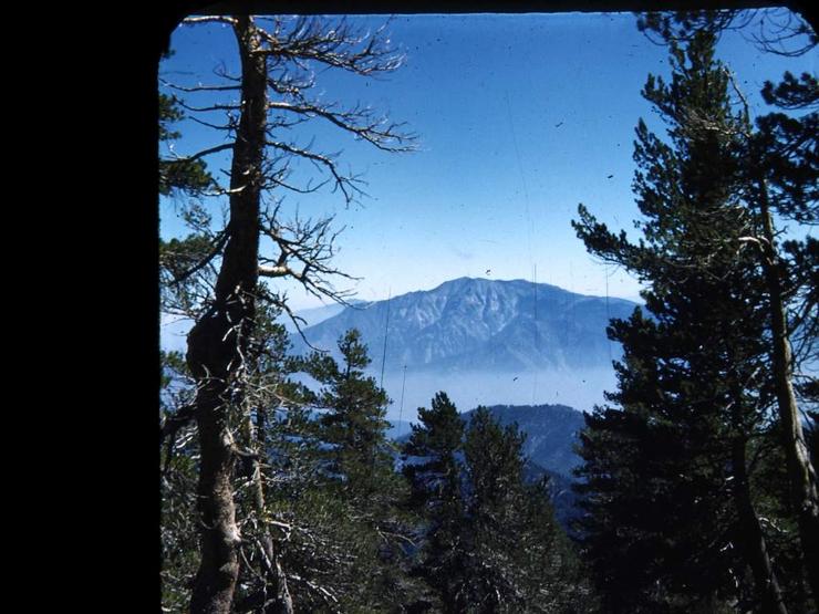 13 Jacinto from Gorgonio 1953 Photo #2