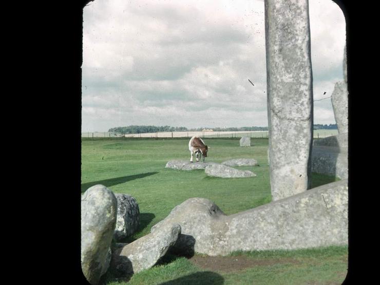 205     Salisbury and Stonehenge Photo #9