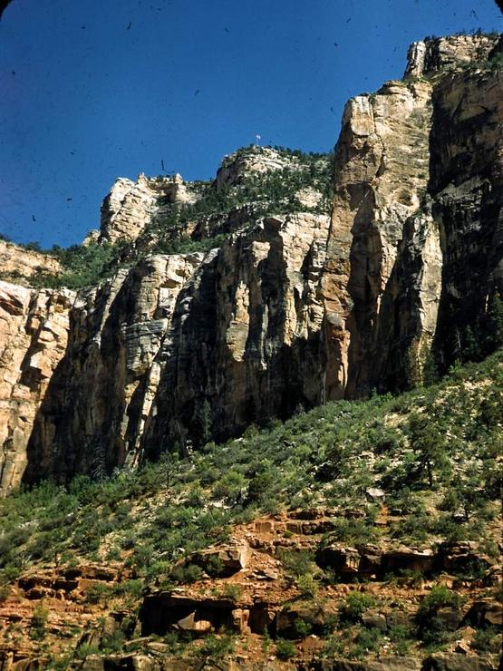 39 Grand Canyon descent 1957 Photo #10