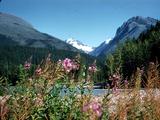 53 Vancouver to Jasper Photo #11