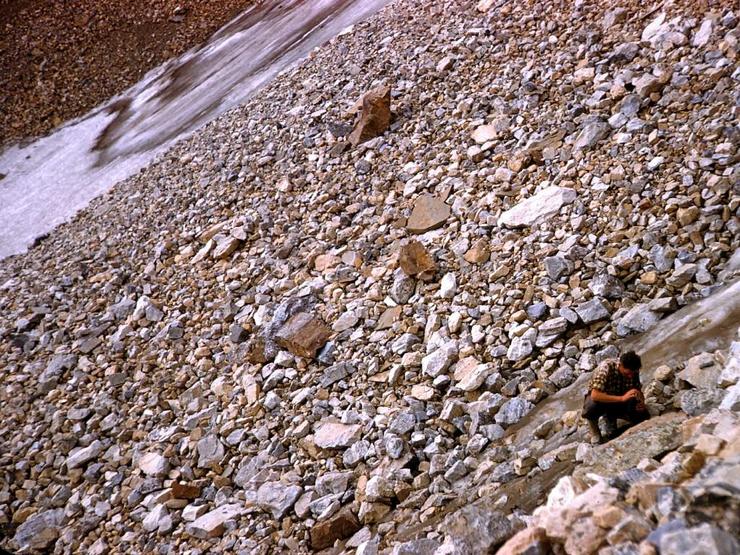 56 Climbing with Hans Photo #15