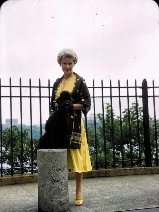 60 On 52nd Street Photo #1