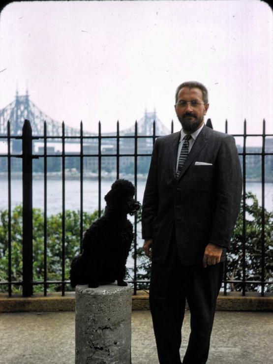 60 On 52nd Street Photo #3