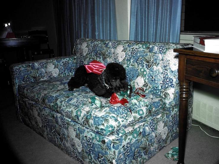 60 On 52nd Street Photo #16